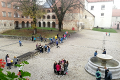IMG_20191108_092859_half