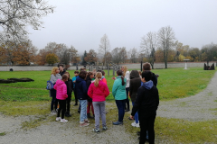 IMG_20191108_103920