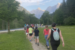 Dejavnost: pohod po Kranjski Gori