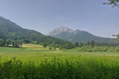 Dejavnost - Zelenci