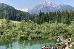 Dejavnost: Zelenci