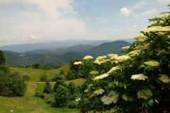20190617_144337