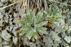 20190617_150054
