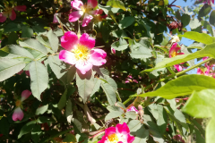 20190618_094142