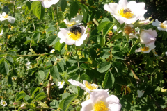 20190618_094552