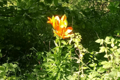 20190618_094649