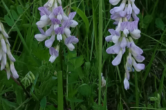 20190618_095602
