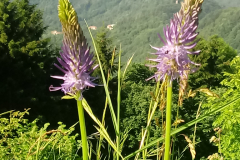 20190618_095721