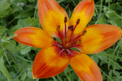 20190618_122901