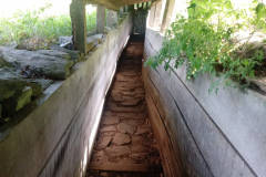 20190618_110200
