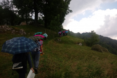 20190618_153922