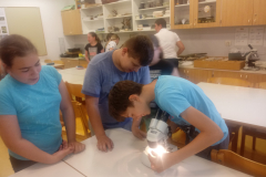 20190618_163309
