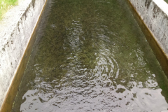 20190619_095155