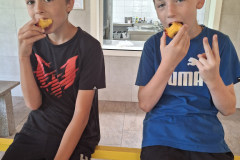 20240619_100925