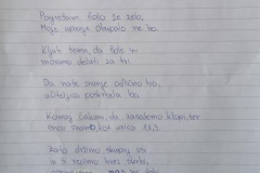Pesmi2