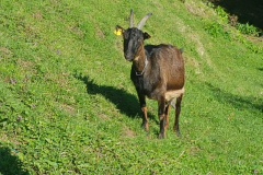 20190419_091530