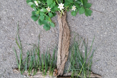 image000000