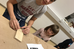IMG-5917