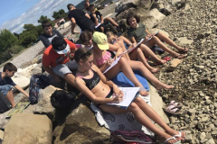 IMG-c55feea9ab9bf71cc5aa0705a23d72ad-V